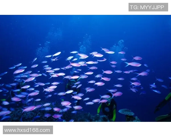 壁纸上的足球梦：探索创意与运动的奇妙结合